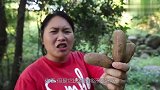 胖妹和朋友进深山，只为了品这头道鲜，一口下去，满满儿时的味道