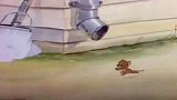 猫和老鼠：汤姆和野猫真笨，这么明显的陷阱看不出来，太不像话了