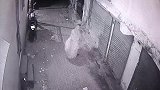 奶牛正要起身，却突然倒地抽搐，这是咋了