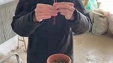 拜完皮鞋再出门顺风顺水顺财神
