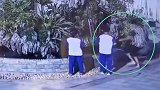 点赞！1岁幼儿头朝下栽进鱼池 五旬阿婆神反应4秒救起