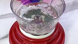 让我来给你做饭吃呀