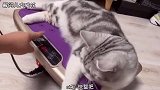 【花哥搞笑配音】隔着屏幕都感觉到疼，多么痛的领悟！