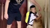 小主人去上学一天没见着，到家金毛就给小主人一个大大的拥抱