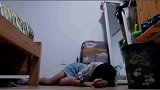 跳跃健将，二哈，狗运会冠军