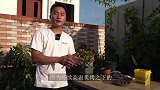 夏季想要丽格海棠毛病少安全度夏，谨记4个不要和一个必要