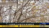 强冷空气来袭 内地大部迎来寒潮降温