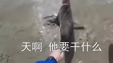 眼见不一定为实，请不要先入为主，看到最后