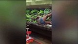 爆新鲜-20170918-女子躺进超市蔬菜堆 用菜叶搓大腿和脖子