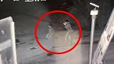 杭州失联女童事件租客自杀细节：2人挽手走向深水区