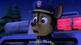 汪汪队：冒险湾的居民手机不见了，真凶是摇滚浣熊！这可真有意思