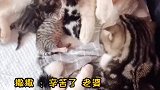 两年了，小时候的青梅竹马，长大后的相亲相爱