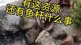 有这资源还去钓什么鱼