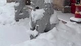 大雪过后石狮子纷纷带上了厨师帽