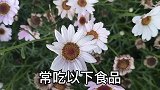 药食同源——明目护眼类食物