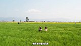 大理5天4晚人均全攻略，包含了吃喝玩乐住