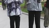 生活建议，夫妻身边的单身狗很危险，可怜的小鹿
