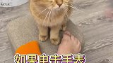 深度睡眠，你学会了吗