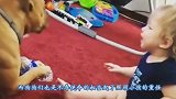 猴子把小女孩当成亲生孩子，寸步不离，简直是贴身保姆