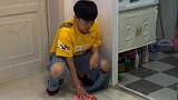 母老虎今天终于出门了