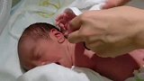 刚出生15分钟就开始寻乳，宝宝：人家都快饿死了，别碰我！
