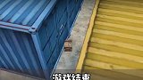 七夕节快到了，不安排一下嘛游戏 游戏杂谈 情侣游戏