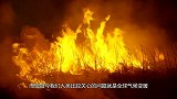 “全球变暖”即将停止，地球开始降温了？未来可能会冷得离谱