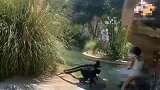 美国：一女子跳进动物园围栏与猴子近距离接触并喂食，将面临起诉