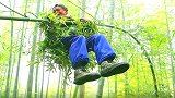 我国一位能够在竹林中穿梭的老人，已有70岁，被称为“竹海飞人