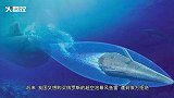 中国进口基洛级潜艇却发现少了一样关键装备 此国紧急出手相助