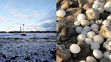 奇观！芬兰海滩罕见出现上万颗冰蛋 背后真相让人惊叹