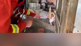 每一个生命都值得呵护！消防官兵这一举动真暖心！谢谢你们！
