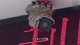 红绿灯当鸟窝？这鸟是真会找地方啊