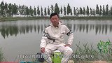 长期不放鱼的黑坑，饵料味型是关键，抬竿就是大弯弓过瘾