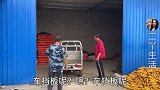 二丫家大丰收，老爸忙中取乐不忘唱歌逗老妈开心，田园生活真有趣