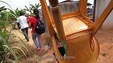 非洲人是如何驯服鬣狗的？佩服得五体投地