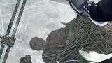这鸟妈妈也太会搭窝了，竟然建了个阳光房