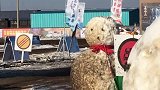 雪人：我也很无奈啊