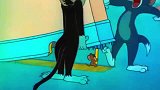 猫和老鼠：汤姆猫和黑猫抓老鼠，被老鼠戏耍，汤姆猫误伤黑猫