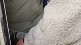 火车太挤小伙被挤到厕所