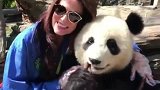 作为全球最凶萌的动物，难怪歪果仁都那么喜欢我们的大熊猫！