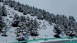 下雪的时候，最想你