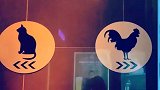 厕所门上的“大象”和“长颈鹿” 怎么区分男女？
