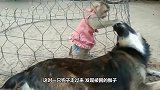 猴子被主人关铁笼子，狗子英雄救美，被暖到了