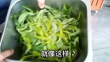 绿油油的空心菜不用两分钟就可出锅，操作很简单