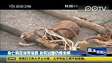 韩媒称韩海警或死于己方投掷的爆音弹碎片