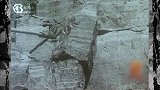 在红旗渠的建设过程中,水平仪不能使用,用它来代替