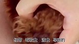 萌宠狗狗乳牙没掉，双排牙
