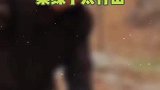 七旬无腿老兵，十年如一日绿化荒山