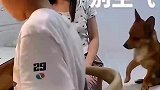妈妈辅导孩子写作业怕自己发火，旁边配着一只小狗牌灭火器